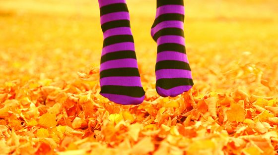 25 geweldige herfstfoto’s