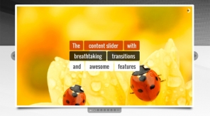Top 10 Responsive Content Sliders