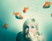 We zoeken een Webdeveloper (m/v)