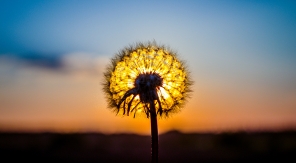 Het verhaal achter het redesign van Flickr