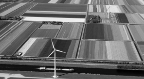 Mega vette foto’s van tulpenvelden in Nederland - zwartwit