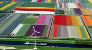 Mega vette foto’s van tulpenvelden in Nederland